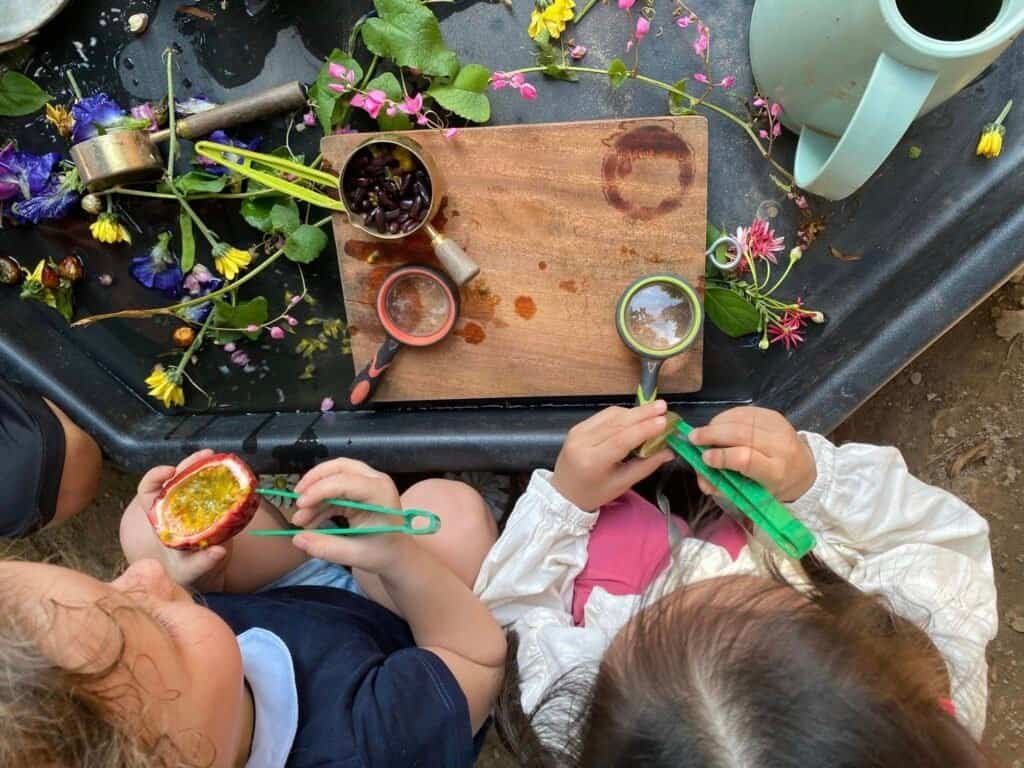 Children examining flowers and plants outdoors for educational play.