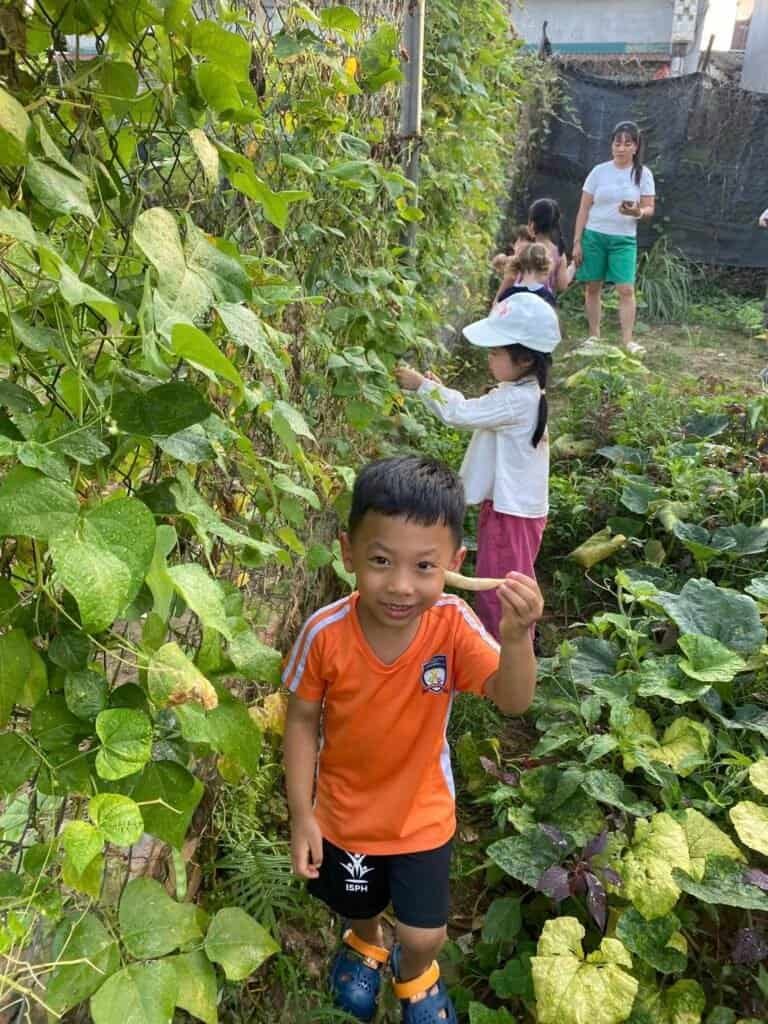 Children exploring and harvesting plants in a garden.